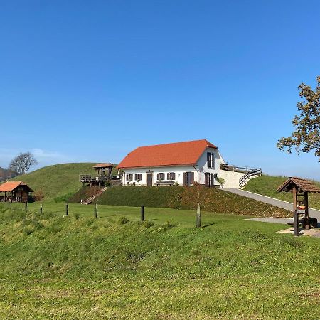 Tourist Farm Artisek Villa Store Kültér fotó