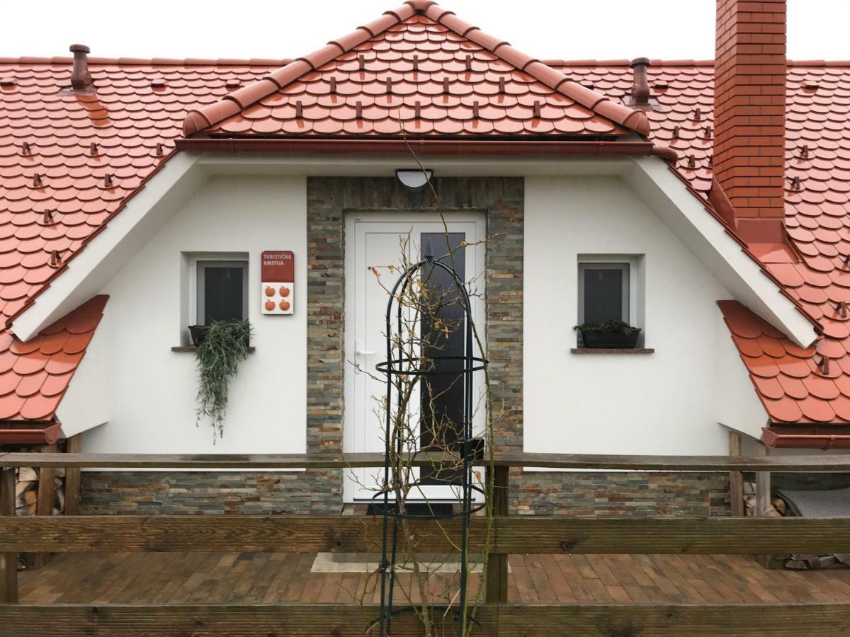Tourist Farm Artisek Villa Store Kültér fotó